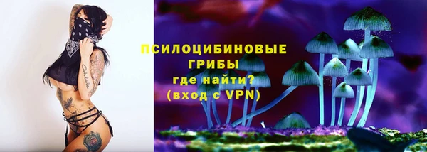 прущие грибы Богородск
