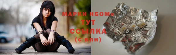 mix Богородицк