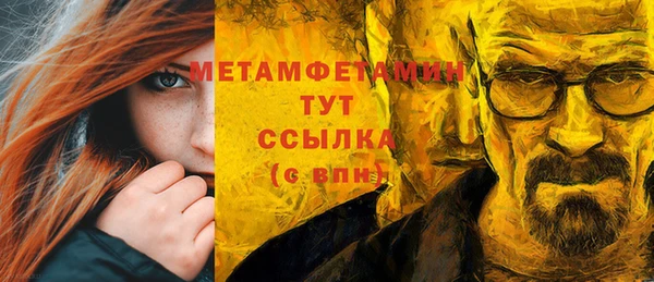 прущие грибы Богородск