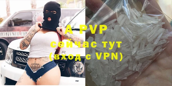 прущие грибы Богородск