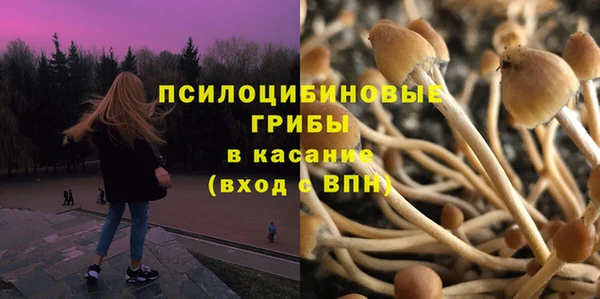 PSILOCYBIN Наволоки